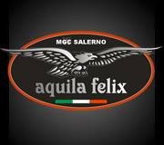 logo_aquila_felix